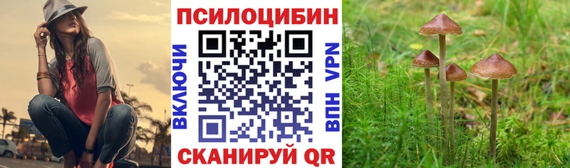 OMG ТОР  Чадан  Псилоцибиновые грибы прущие грибы 